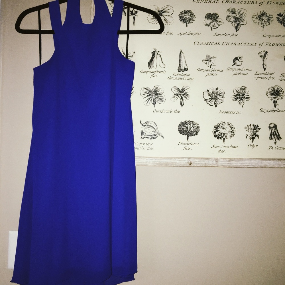 Small Blue Double Strapped Halter Dress